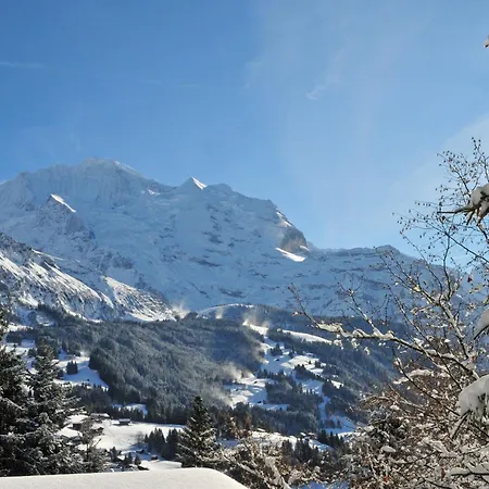 Apartamento Eiger By Interhome *