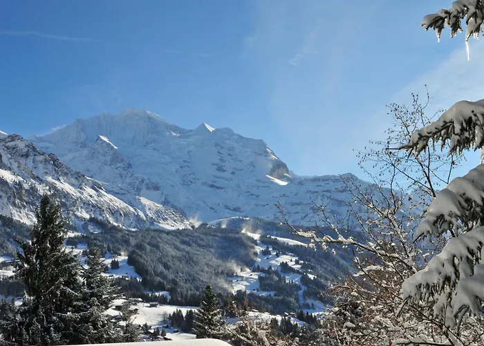 Lejlighed Eiger By Interhome *